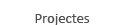 Projectes